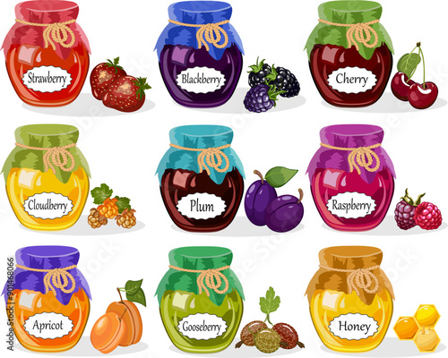Vector collection of colorful jars.Honey, confiture and jam in glass jars in berries vector illustration.
