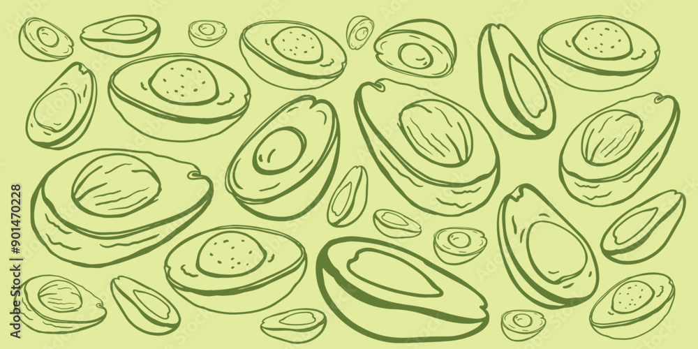 Isolated vector hand drawn avocado set. Whole avocado, halves, leaves. Cut. Botanical elements on a green background. Vintage style. Isolated vector hand drawn avocado set. Whole avocado, halves, leaves. Cut. Botanical elements on a green background. Vintage style.