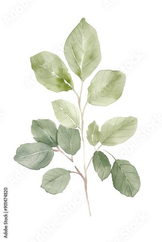Vibrant Leaf Branch Illustration with Detailed Veins and Textured Green Leaves