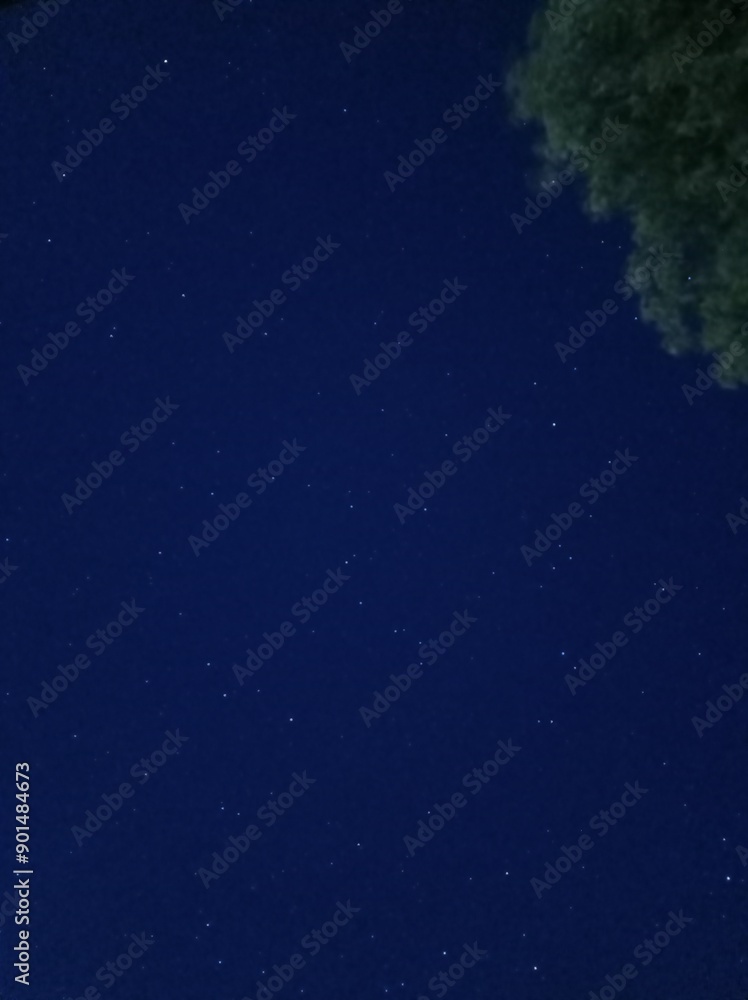 Fototapeta premium Sky by Jota