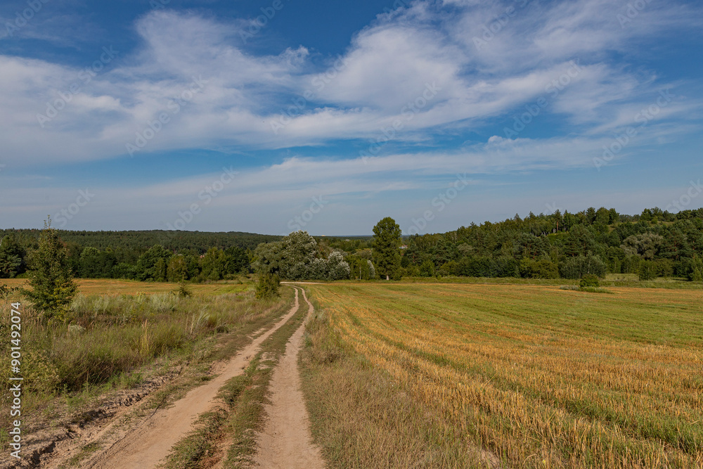 the dirt road descends from the hill along the field and enters the forest the dirt road descends from the hill along the field and enters the forest