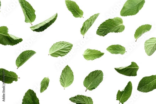 fresh mint leaves floating isolated on white background, green mint leaves dynamic image