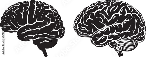 Black silhouette of human brain, vector