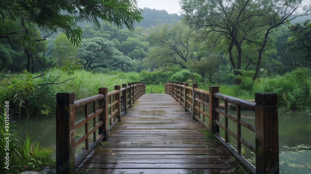 Fototapeta premium Wooden Bridge in Lush Forest Landscape