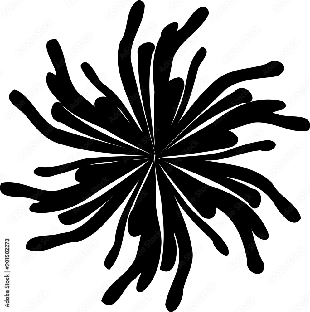 a black and white flower