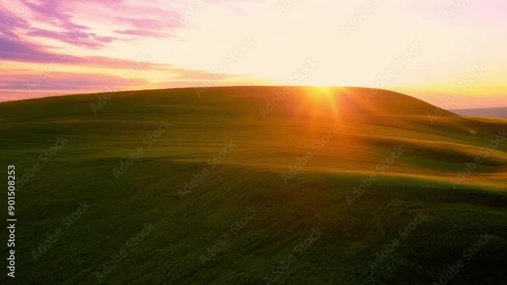 A peaceful and idyllic view of the rolling hills basking in the warm and gentle light of the setting sun. A peaceful and idyllic view of the rolling hills basking in the warm and gentle light of the setting sun.