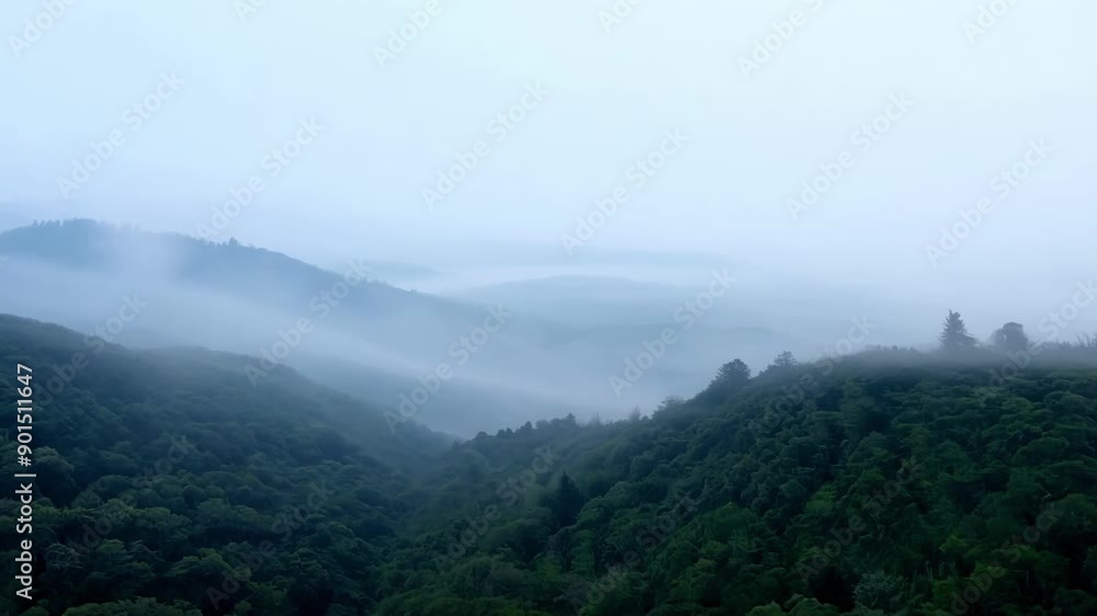 Rolling hills swallowed by a thick fog creating a tranquil and serene landscape. Rolling hills swallowed by a thick fog creating a tranquil and serene landscape.