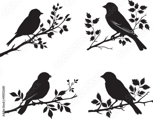 Set of black silhouette vector of birds on a branch, sparrow vector