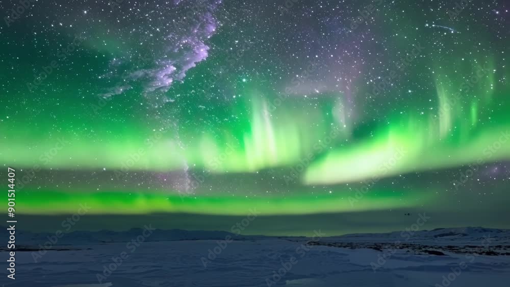 custom made wallpaper toronto digitalThe Aurora Borealis dances above the tundra painting the night sky in shades of green and purple.