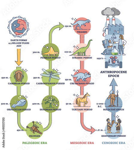 Anthropocene epoch as human era in global geological timeline scale outline diagram, transparent background. Labeled educational earth time period scheme.