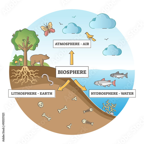 Biosphere division with labeled ecosystem explanation scheme outline concept, transparent background. Atmosphere, lithosphere and hydrosphere.