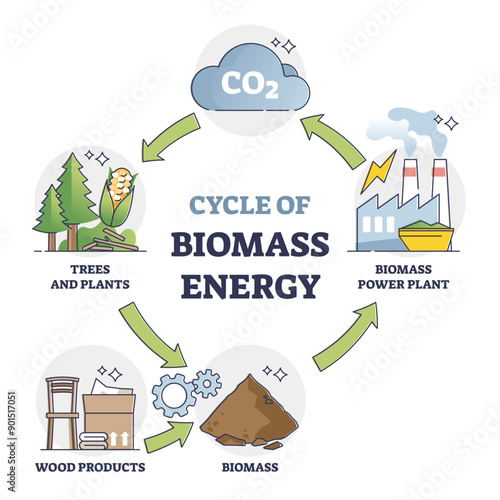 Cycle of biomass energy as direct combustion in power plant outline diagram, transparent background. Educational labeled explanation with CO2 conversion to environmental resource illustration.