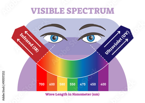 Visible spectrum illustration diagram, color scheme from infrared to ultraviolet color scale, transparent background. Science and educational information.