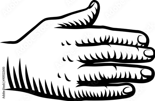 A hand, palm out, back or r...
