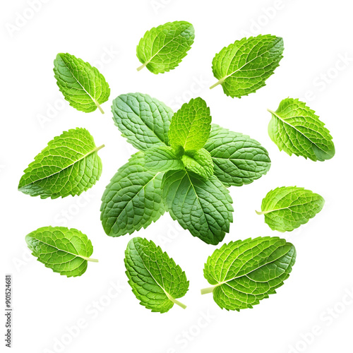 High-Quality Mint Leaves in Midair on Transparent Background PNG