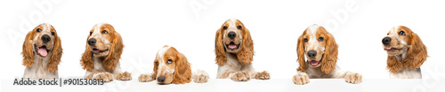 Konstfotografi Banner