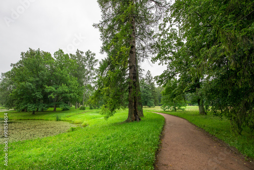 A tranquil pathway meanders through vibrant greenery, bordered by lush trees beside a peaceful waterway, inviting exploration on a cloudy, serene day.