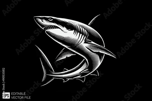 Shark black and white vector design
