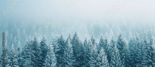 Scenic winter view with snow-covered trees, capturing the beauty of the season in a picturesque copy space image.