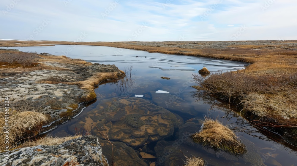 A small stream flows through a rocky, grassy landscape under a cloudy sky. A small stream flows through a rocky, grassy landscape under a cloudy sky.