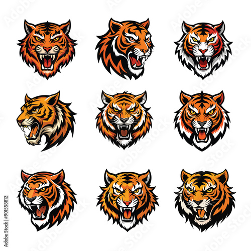  Vector illustration of Tiger Head Free Vector 