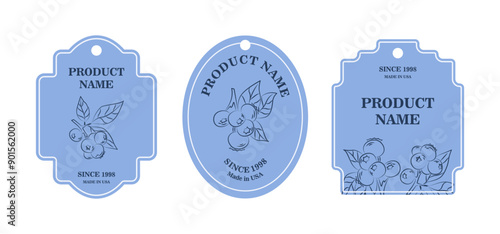 Blueberry Label Set. Elegant Hand Drawn Blueberry Branches with Leaves Decorated Packaging Designs Isolated Vector Illustration.
