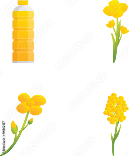 Canola oil icons set cartoon vector. Rapeseed oil and flower. Brassica napus, plant