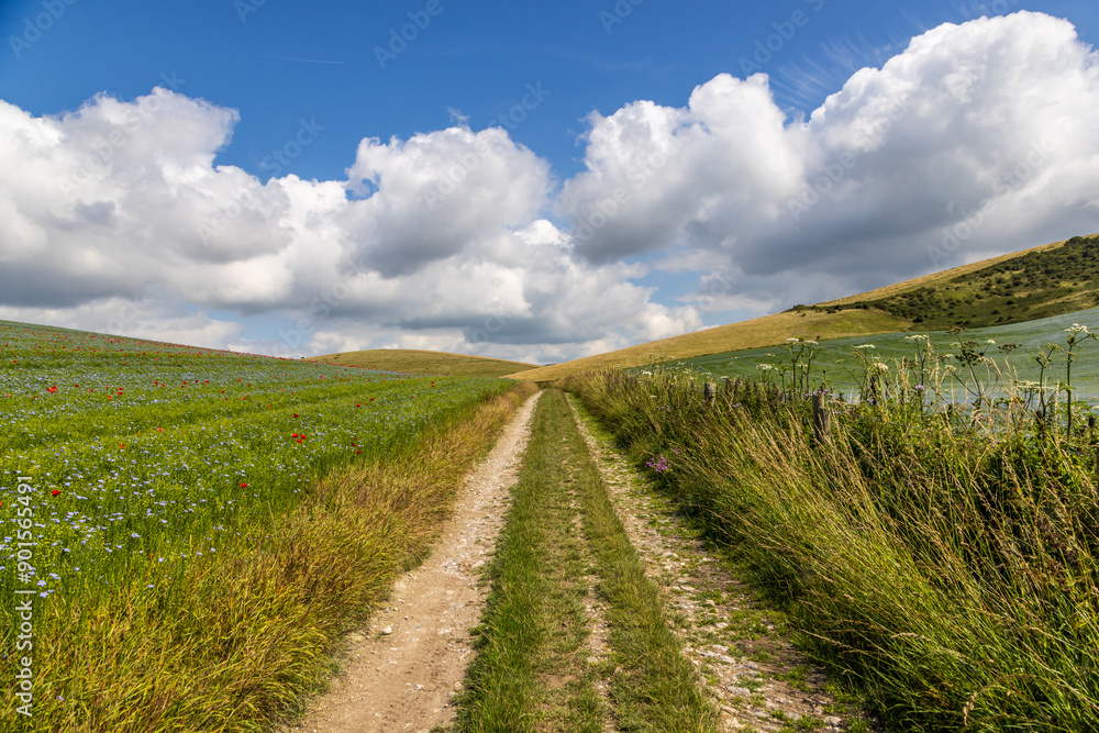 An idyllic Sussex landscape on a sunny summer's day An idyllic Sussex landscape on a sunny summer's day