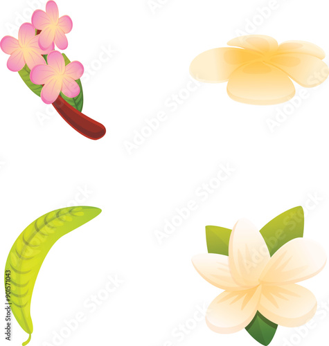 Plumeria icons set cartoon vector. Blooming plumeria with green leaf. Tropic flower