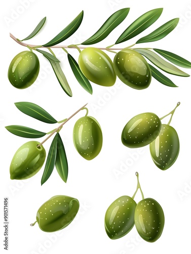 Wallpaper Mural Realistic green olives, isolated olive branch with leaves. Isolated vector set of tasty and briny popular mediterranean snack with vibrant green color and firm texture. Torontodigital.ca