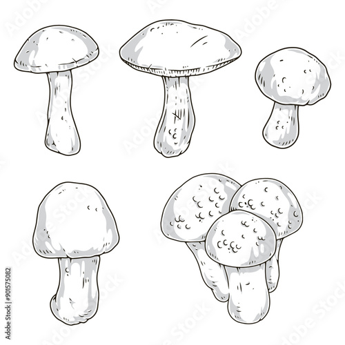 Whole mushrooms monochrome set elements