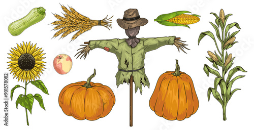Autumn harvest colorful set stickers