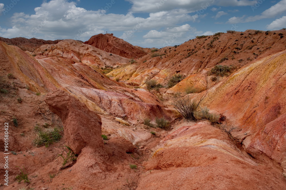 Fototapeta premium Northern Kyrgyzstan. The unusual texture of red-yellow clay rocks in the famous Skazka Canyon, off the coast of Lake Issyk-Kul.