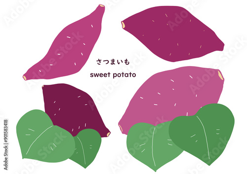 さつまいもと葉っぱのシンプルなイラスト