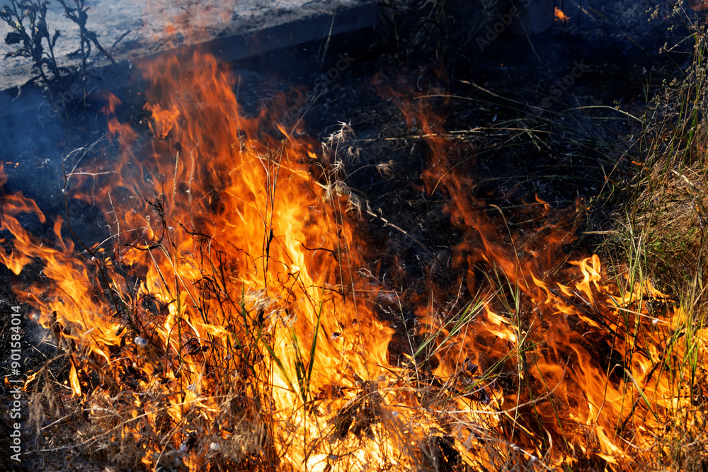 Forest and steppe fires dry completely destroy the fields and steppes during a severe drought. Disaster brings regular damage to nature and economy of region. Lights field with the harvest of wheat Forest and steppe fires dry completely destroy the fields and steppes during a severe drought. Disaster brings regular damage to nature and economy of region. Lights field with the harvest of wheat