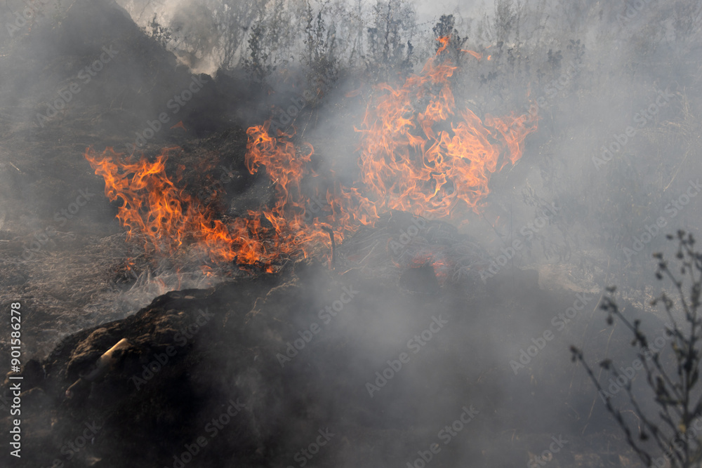 Forest and steppe fires dry completely destroy the fields and steppes during a severe drought. Disaster brings regular damage to nature and economy of region. Lights field with the harvest of wheat Forest and steppe fires dry completely destroy the fields and steppes during a severe drought. Disaster brings regular damage to nature and economy of region. Lights field with the harvest of wheat