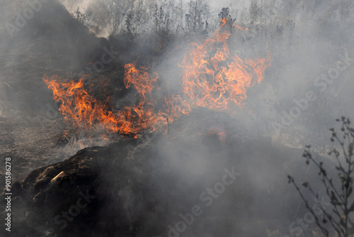 Forest and steppe fires dry completely destroy the fields and steppes during a severe drought. Disaster brings regular damage to nature and economy of region. Lights field with the harvest of wheat