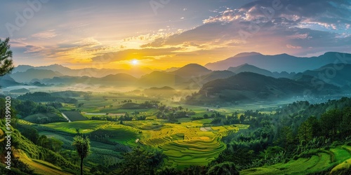 Sunrise over Lush Rice Terraces