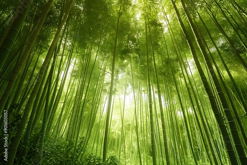 A lush bamboo forest with tall, green stalks swaying gently in the breeze, dappled sunlight filtering through the leaves, creating a serene and peaceful atmosphere.