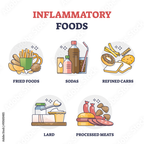 Inflammatory foods with unhealthy daily eating habits outline collection set, transparent background. Health risk with acid nutrient and chronic disease development illustration.