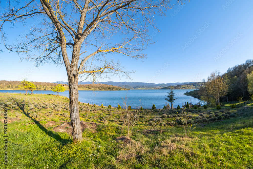 Lake view behind a tree. Green grass and mountains on the horizon. Ultra wide angle photograpy. Lake view behind a tree. Green grass and mountains on the horizon. Ultra wide angle photograpy.