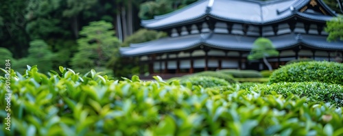 Green tea with a background of traditional Japanese architecture, Green tea, Cultural, heritage photo