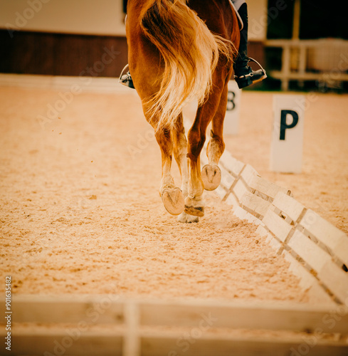 A rear view of a galloping horse at a dressage competition, with its hooves and tail in focus. The horse is a sorrel color and is being ridden in a horseback riding competition. photo