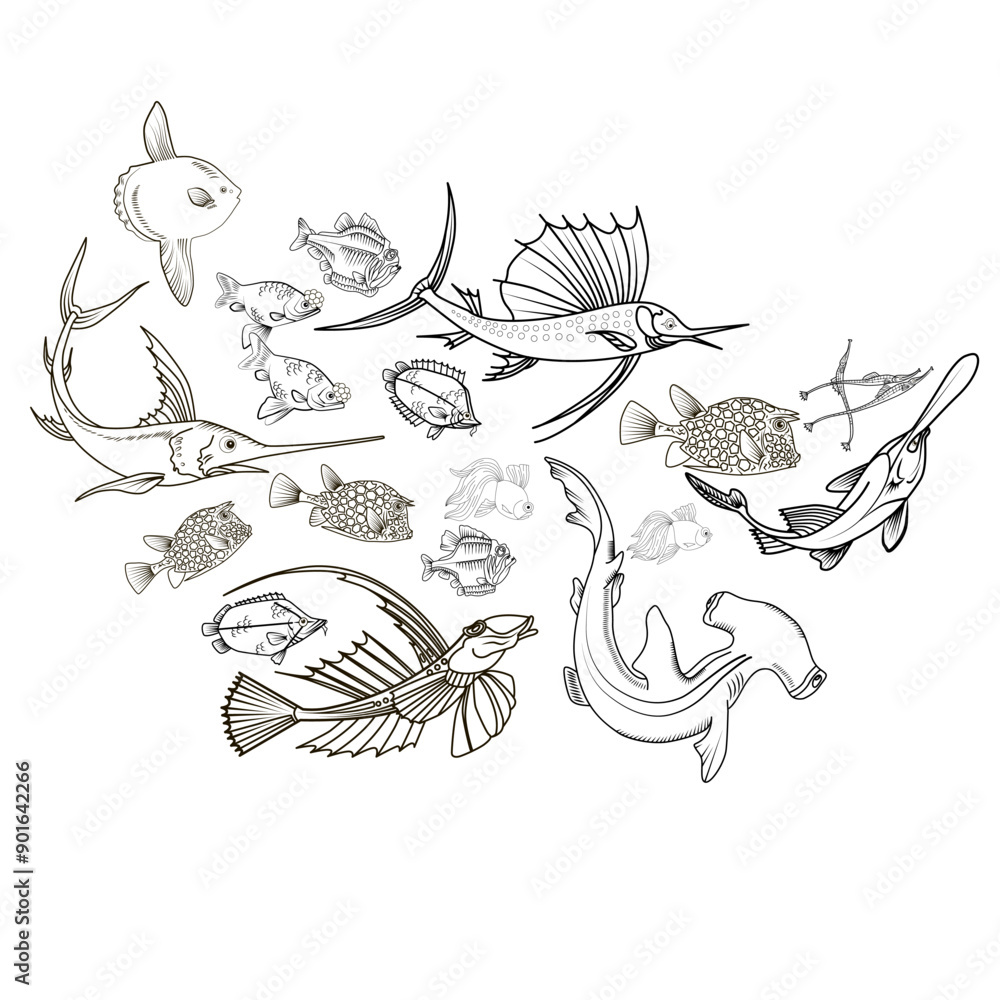 Fototapeta premium Hand drawn sketch illustration with fish. Wildanimal vector. Restaurant food card for seafood menu.