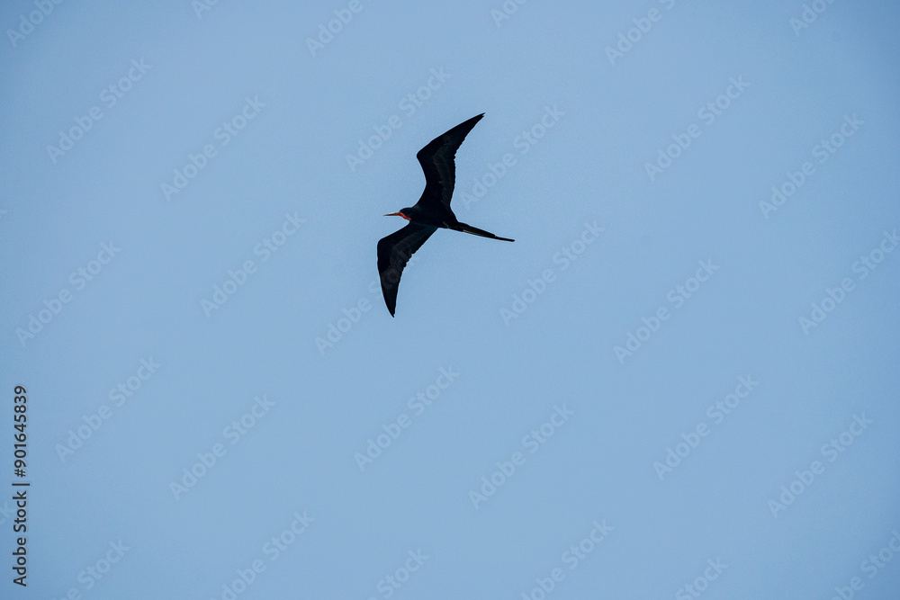 Obraz premium 2024-Colombie-1163