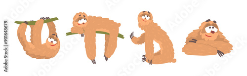Funny Sloth Character Engaged in Different Activity Vector Set