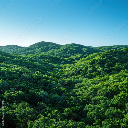 International Day for the Preservation of the Ozone Layer showing a lush green forest under a clear blue sky