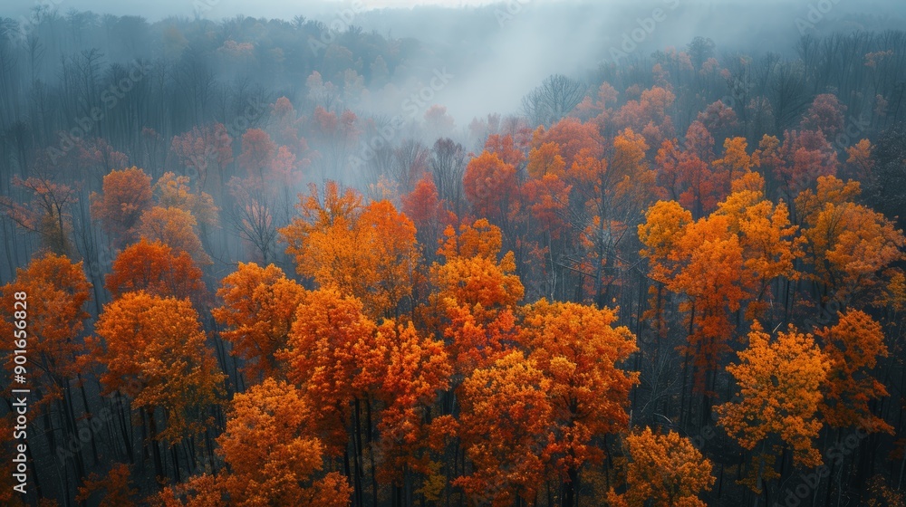 Vibrant Autumn Foliage in a Misty Forest During Early Morning Light. Generative AI Vibrant Autumn Foliage in a Misty Forest During Early Morning Light. Generative AI
