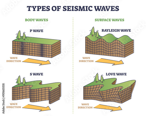Types of seismic waves as earth movement in earthquake outline collection set, transparent background. Educational labeled rayleigh, love and body, surface wave comparison.