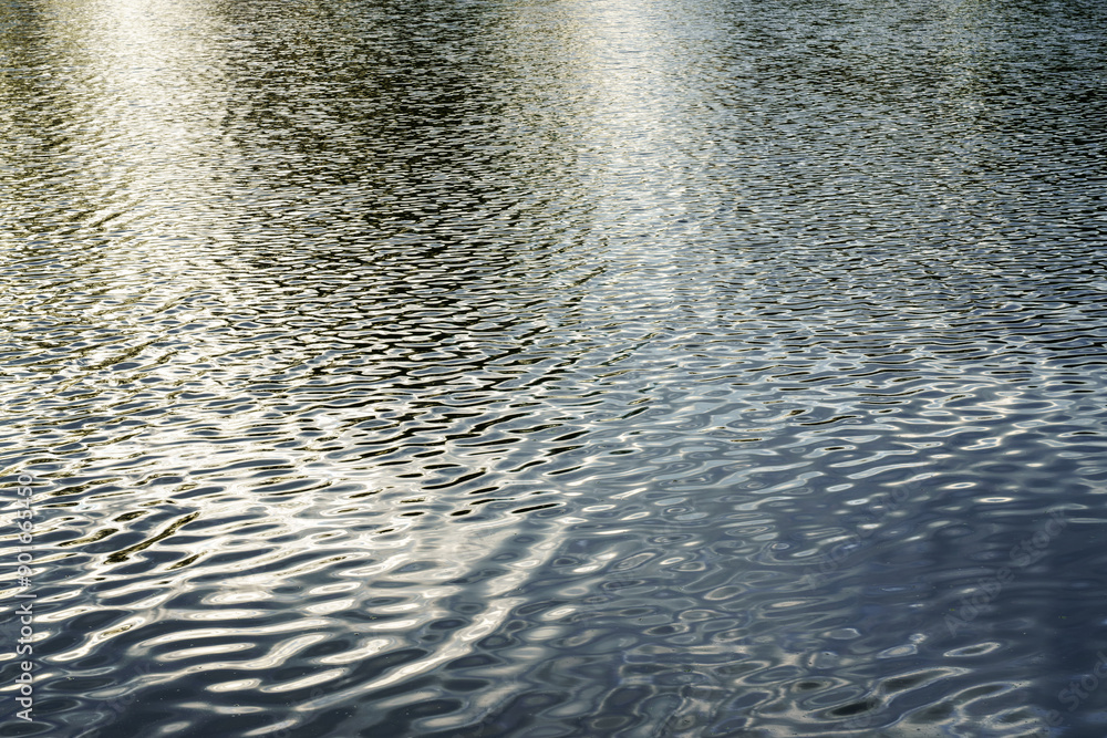 The texture of ripples on the water in a pond illuminated by the setting sun. Natural background. The texture of ripples on the water in a pond illuminated by the setting sun. Natural background.